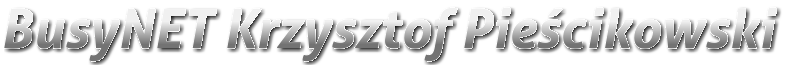 BusyNET Krzysztof Pieścikowski